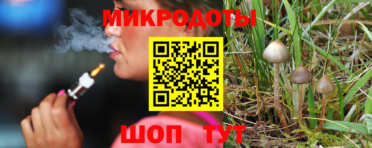Клинцы  Псилоцибиновые грибы ЛСД  Вход с VPN  где можно купить   Галлюциногенные грибы мухоморы 